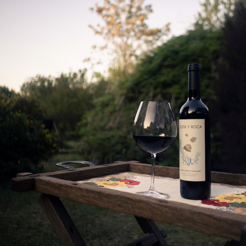 Degustazione di vino nei vigneti del Garda Trentino