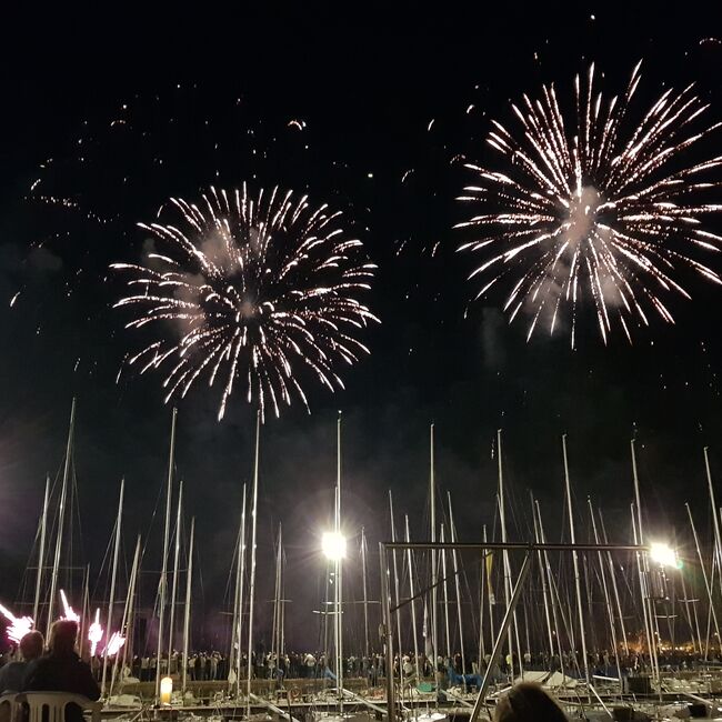 Notte di Fiaba 2026 – Tarzan